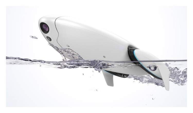 Беспроводная лодка PowerDolphin (Standart)